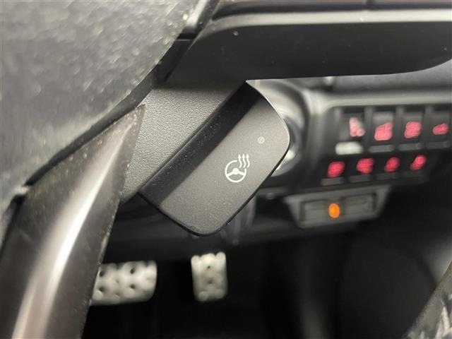 Subaru FORESTER 2020 7521891-10