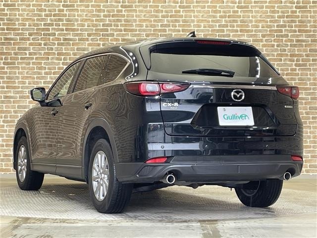 Mazda CX-8 2023 7532562-13