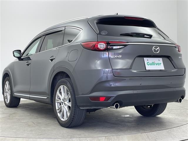 Mazda CX-8 2017 7532688-13