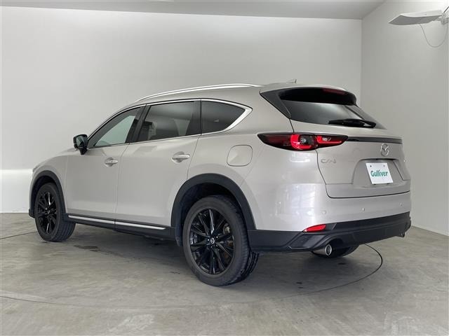 Mazda CX-8 2023 7532835-13