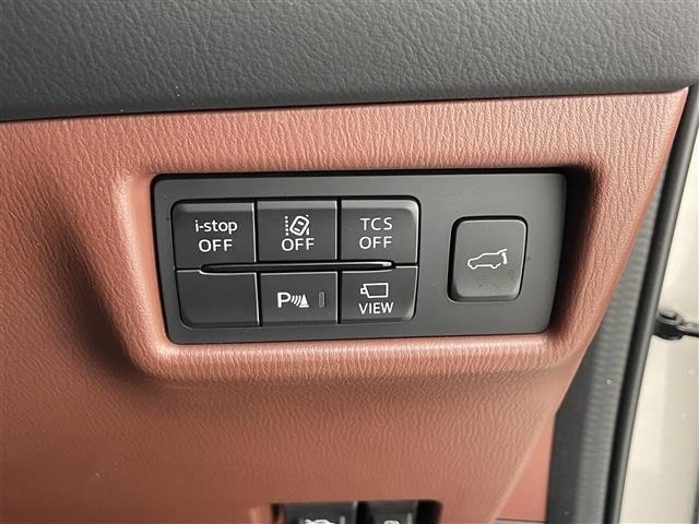 Mazda CX-8 2022 7532966-19