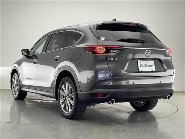 Mazda CX-8 2021 7532980-22
