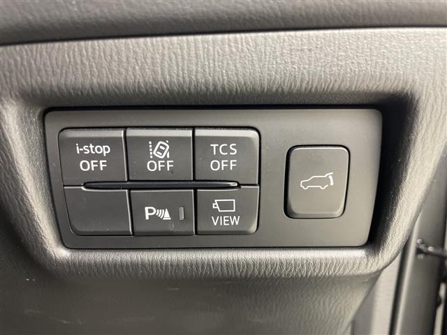 Mazda CX-8 2020 7532991-8
