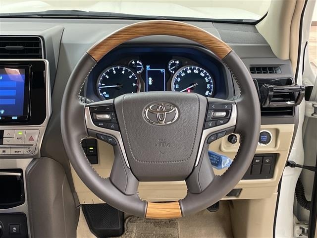 Toyota LAND CRUISER PRADO 2021 7528384-22