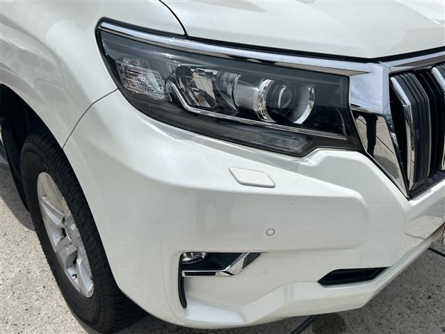 Toyota LAND CRUISER PRADO 2020 7528393-9