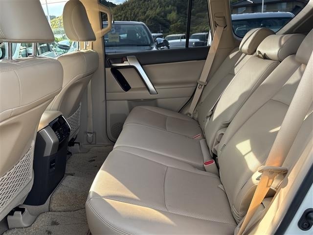 Toyota LAND CRUISER PRADO 2018 7528406-10