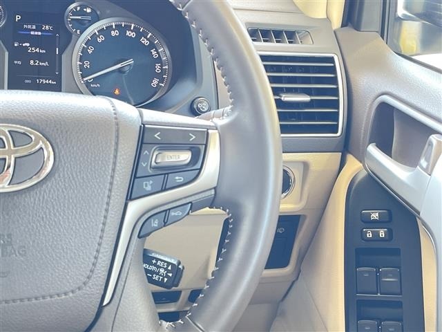 Toyota LAND CRUISER PRADO 2023 7528436-12