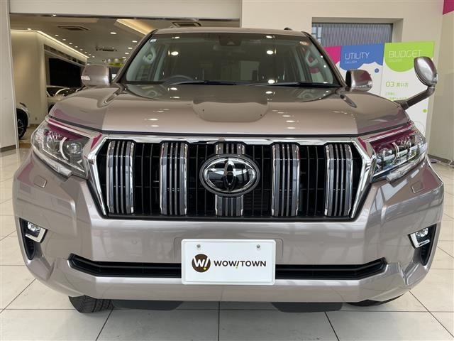 Toyota LAND CRUISER PRADO 2023 7528458-22
