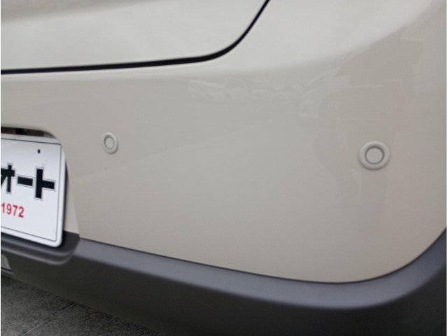 Suzuki LAPIN 2023 7535116-22