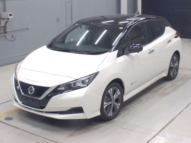 Nissan LEAF 2021 7530761-0