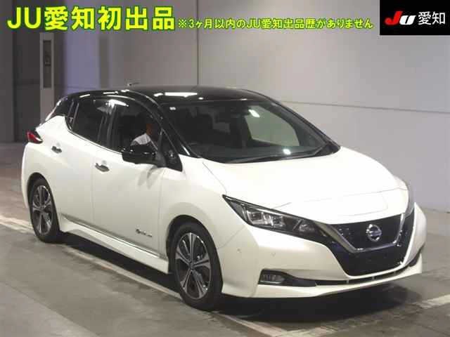 Nissan LEAF 2019 7530770-0