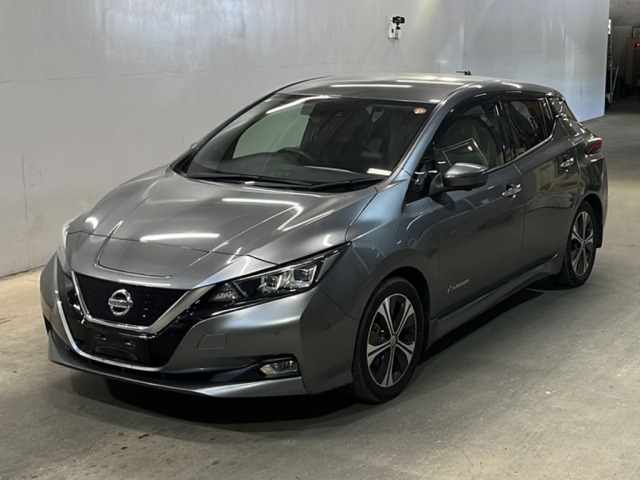 Nissan LEAF 2018 7530800-0