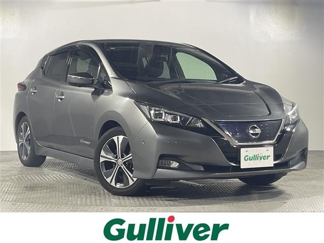 Nissan LEAF 2019 7530900-0