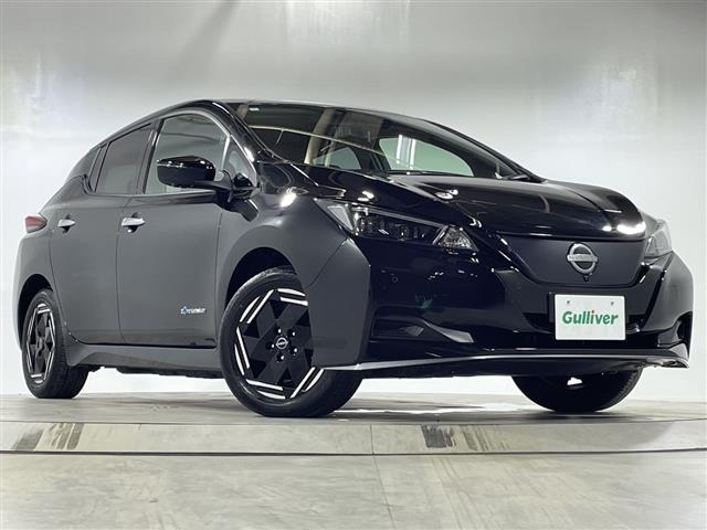 Nissan LEAF 2024 7530912-0
