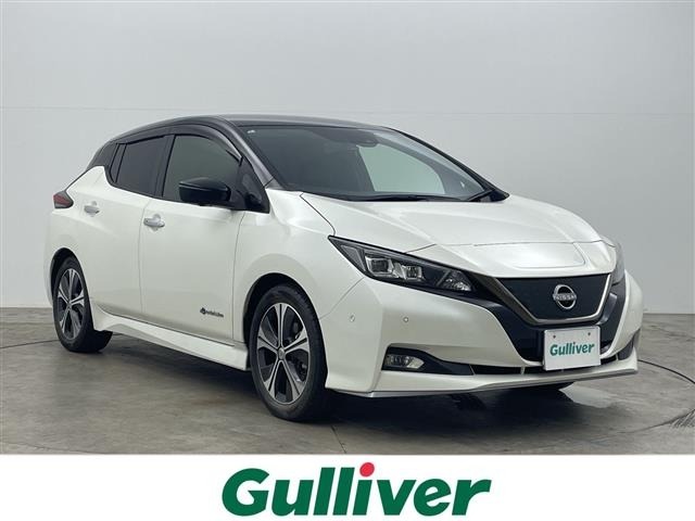 Nissan LEAF 2018 7530965-0