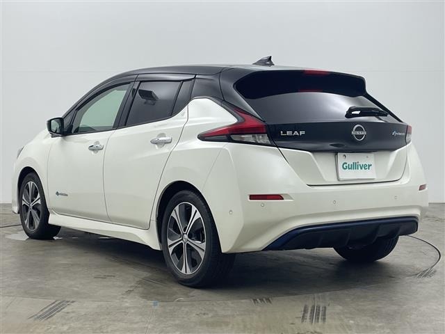 Nissan LEAF 2018 7530965-13