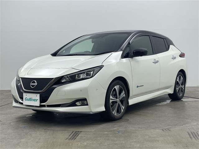 Nissan LEAF 2018 7530965-4
