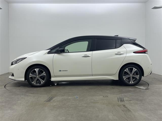 Nissan LEAF 2018 7530965-6