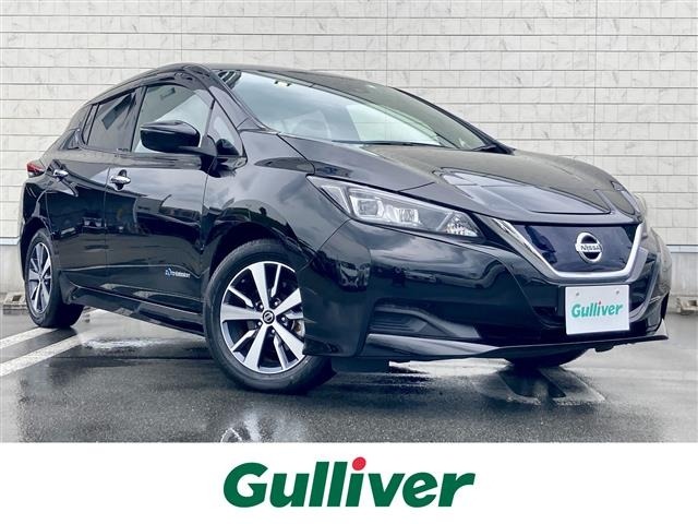 Nissan LEAF 2021 7531019-0