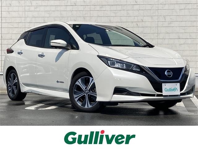 Nissan LEAF 2021 7531020-0