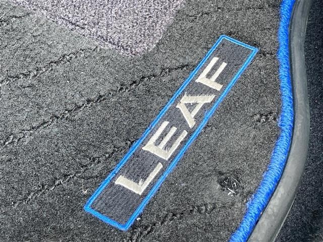Nissan LEAF 2021 7531020-11