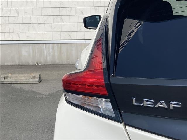 Nissan LEAF 2021 7531020-15