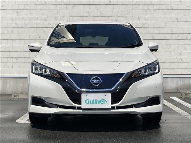 Nissan LEAF 2021 7531020-3