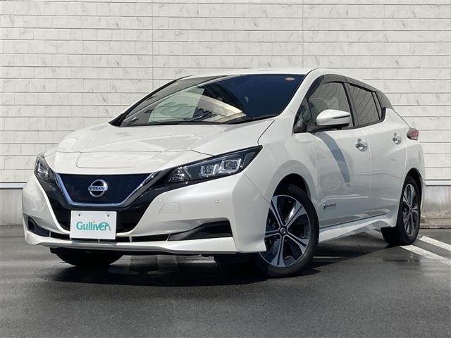 Nissan LEAF 2021 7531020-4