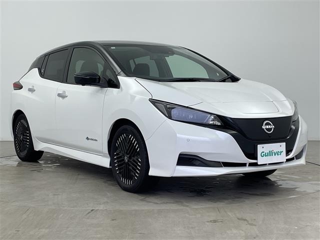 Nissan LEAF 2024 7531024-0