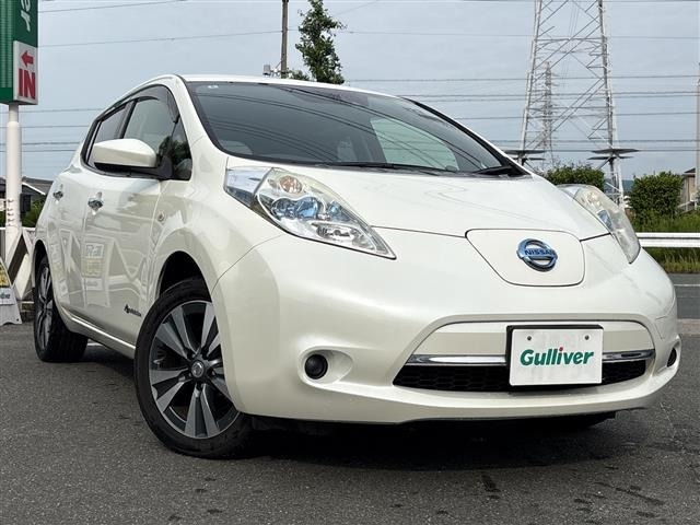 Nissan LEAF 2017 7531036-0