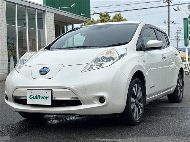 Nissan LEAF 2017 7531036-16