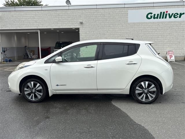 Nissan LEAF 2017 7531036-17