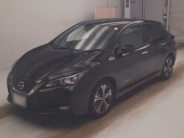 Nissan LEAF 2019 7531038-0