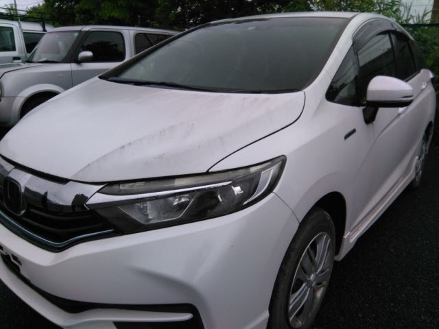 Honda SHUTTLE 2019 7540635-4