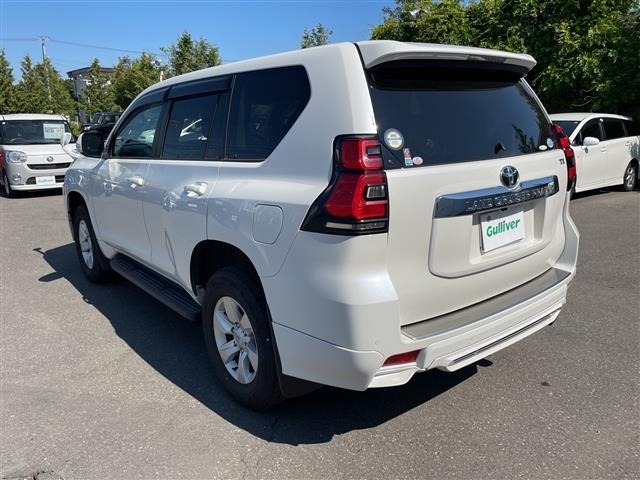 Toyota LAND CRUISER PRADO 2019 7564459-13