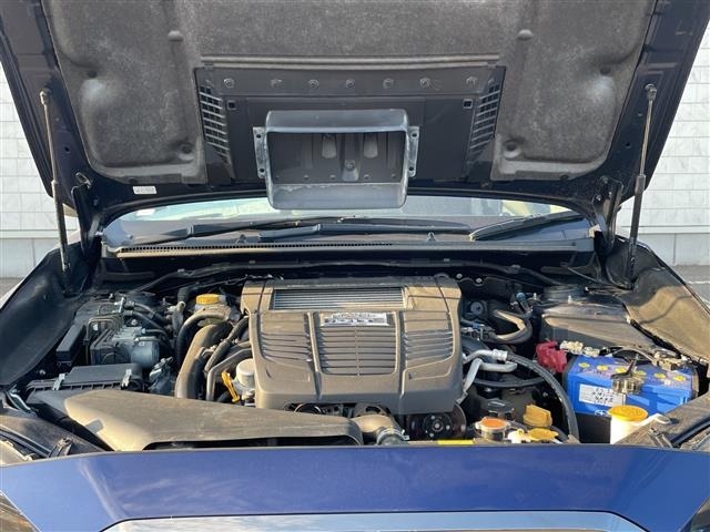 Subaru LEVORG 2019 7567806-8