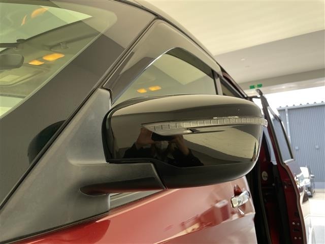 Nissan SERENA 2016 7565291-17