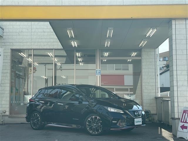 Nissan LEAF 2018 7601159-0