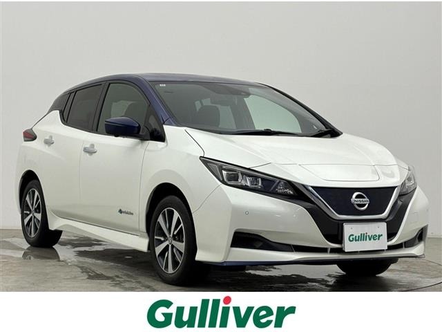 Nissan LEAF 2021 7601221-0