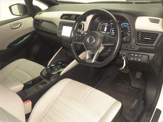 Nissan LEAF 2019 7601386-3
