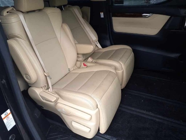 Toyota ALPHARD 2019 7643265-10