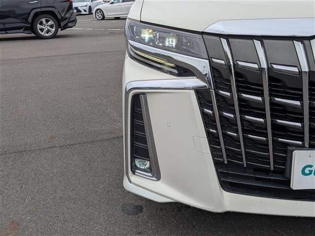 Toyota ALPHARD 2018 7643915-7