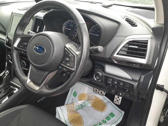 Subaru FORESTER 2018 7641292-9