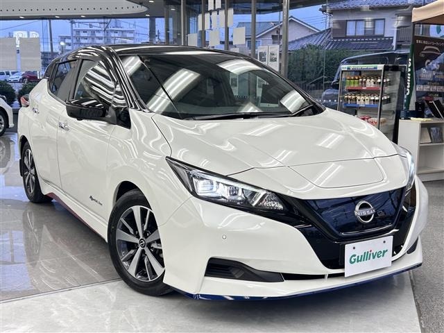 Nissan LEAF 2021 7639496-0