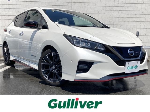 Nissan LEAF 2019 7639513-0