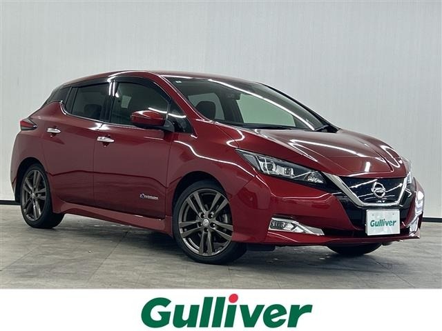 Nissan LEAF 2018 7639518-0
