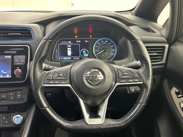 Nissan LEAF 2018 7639518-19