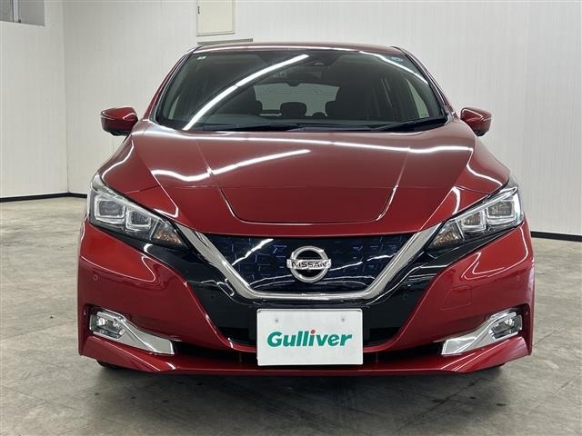 Nissan LEAF 2018 7639518-2