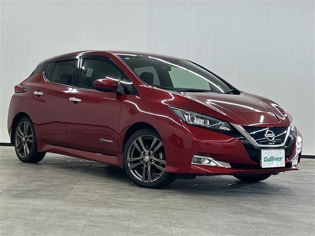 Nissan LEAF 2018 7639518-22