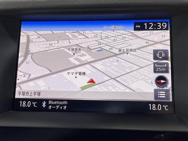 Nissan SKYLINE 2019 7625944-8